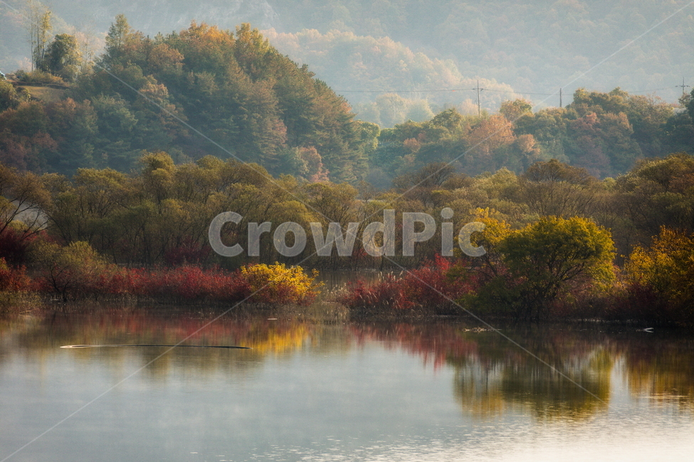가을풍경,가을,반영,자연,nature,용담호,tree,plant,가을,계절,fall,autumn,season,자연,풍경,nature,landscape,한국자연풍경,한국자연경관,korea nature landscape