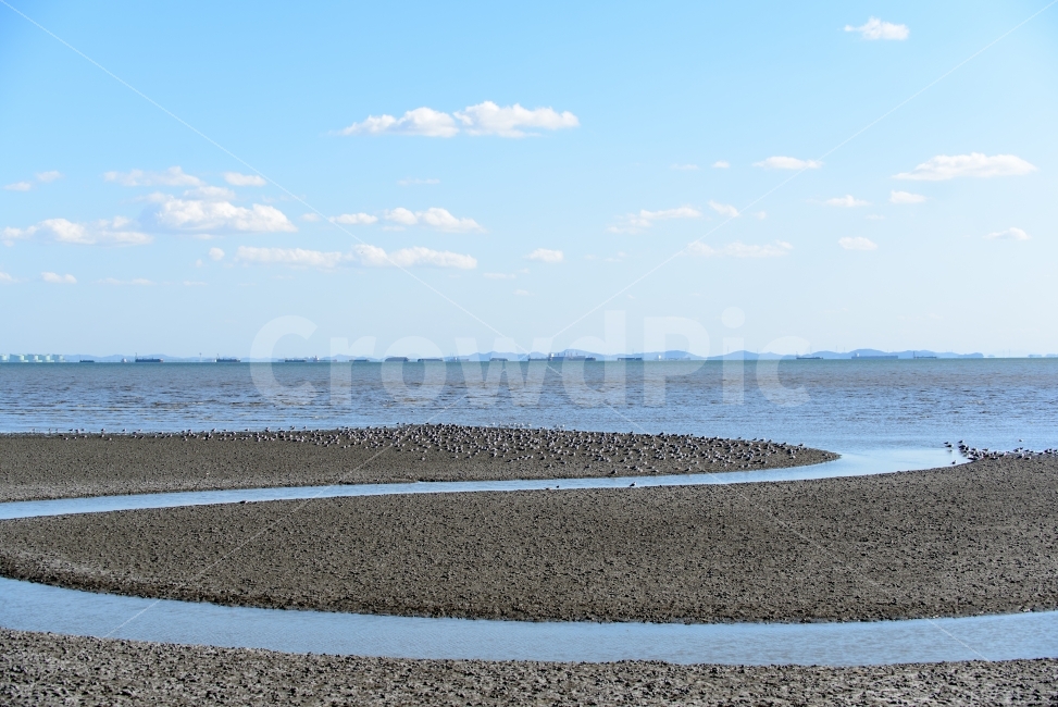 인천,갯벌,배,갈매기,바다,산업,개발,구름,하늘,영종도,ship,gull,sea,자연,풍경,nature,landscape,해변,바다,beach,sea,road,도로