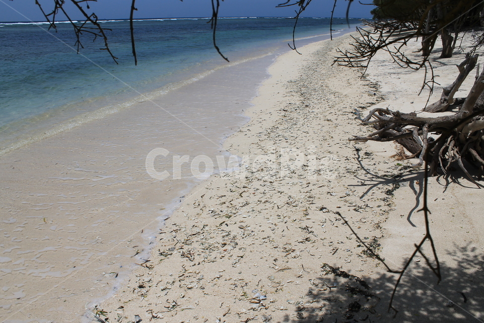 인도네시아,길리,해변,indonesia,gili,beach,나무해변,beachandtrees,vacation,고즈넉