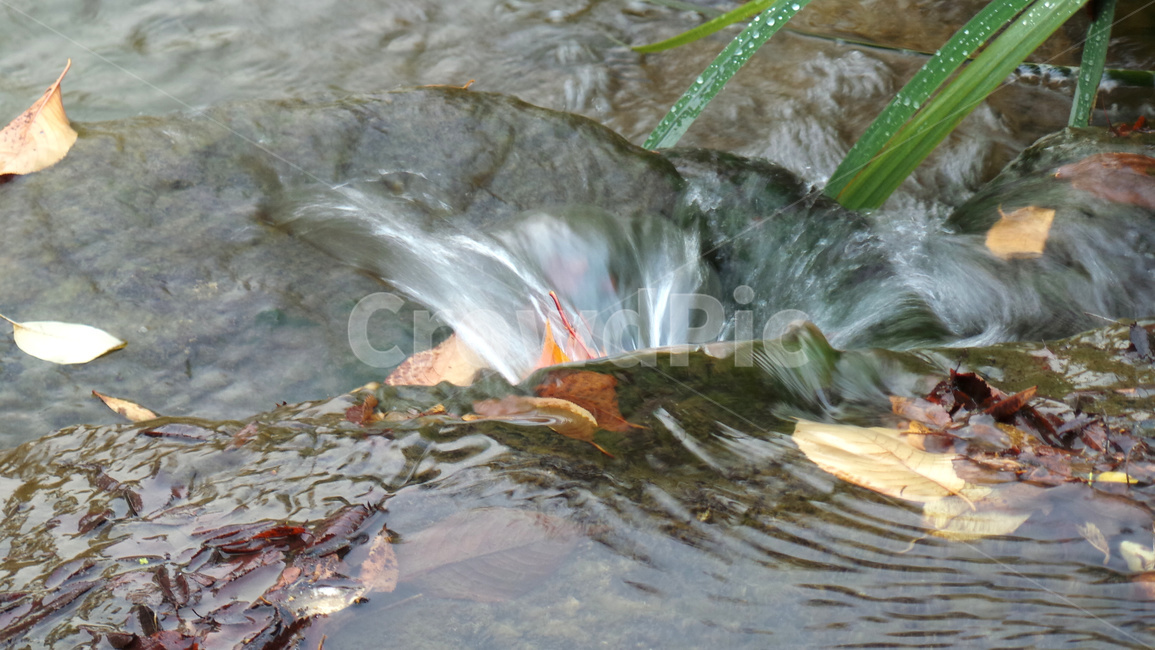 낙엽,시냇가,소용돌이,물가,자연,water,물,청량,나뭇잎,잎,돌,바위,자연배경,가을,계절,fall,autumn,season