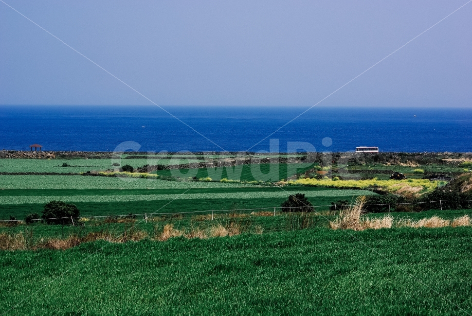 제주도,우도,바다,섬,풍경,자연,풍경,nature,landscape,제주도,jeju,jeju island,outdoors,옥외