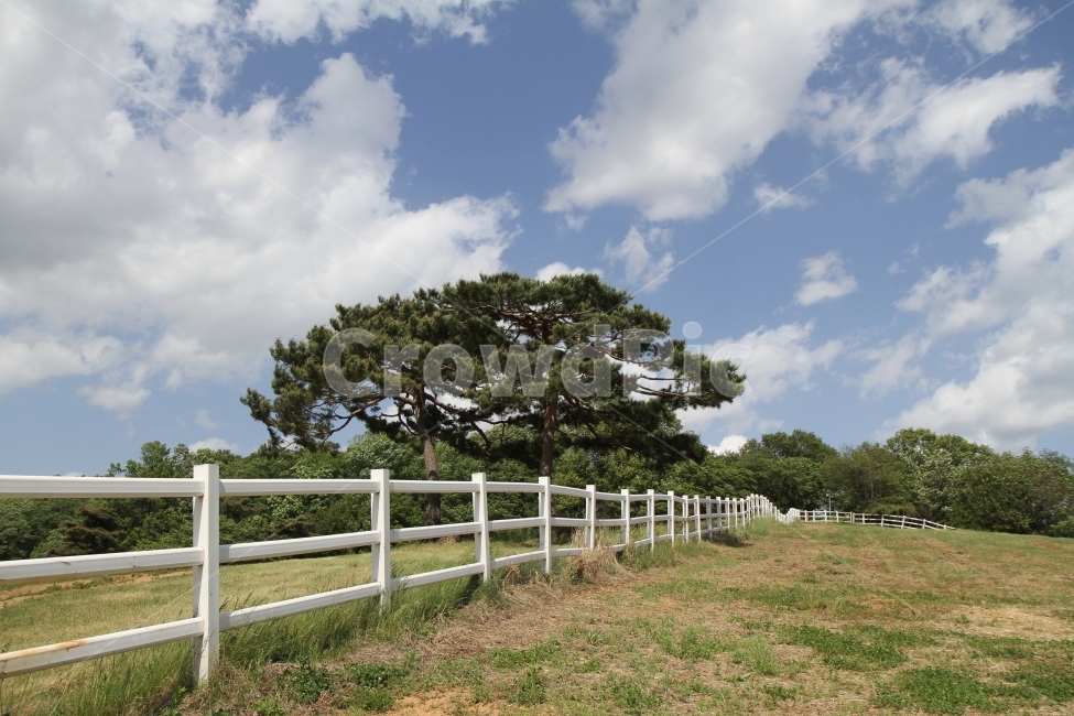 풍경사진,종마목장,하늘과나무,자연,공원,감성사진,자연,풍경,nature,landscape,한국자연풍경,한국자연경관,korea nature landscape,outdoors,옥외