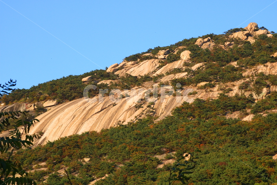 북한산,산,자연,풍경,나무,식물,원효봉,공원,국립공원,북한산국립공원,등산로,산책로,자연,풍경,nature,landscape