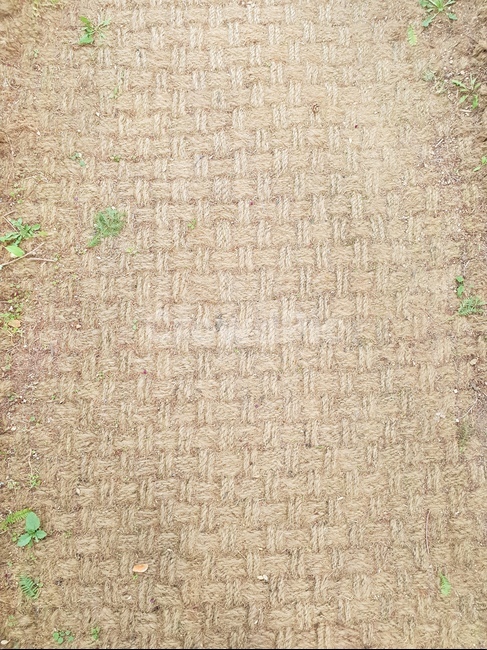 지푸라기,산책로,황토색,힐링,풀,햇살,텍스처,질감,패턴,texture,pattern