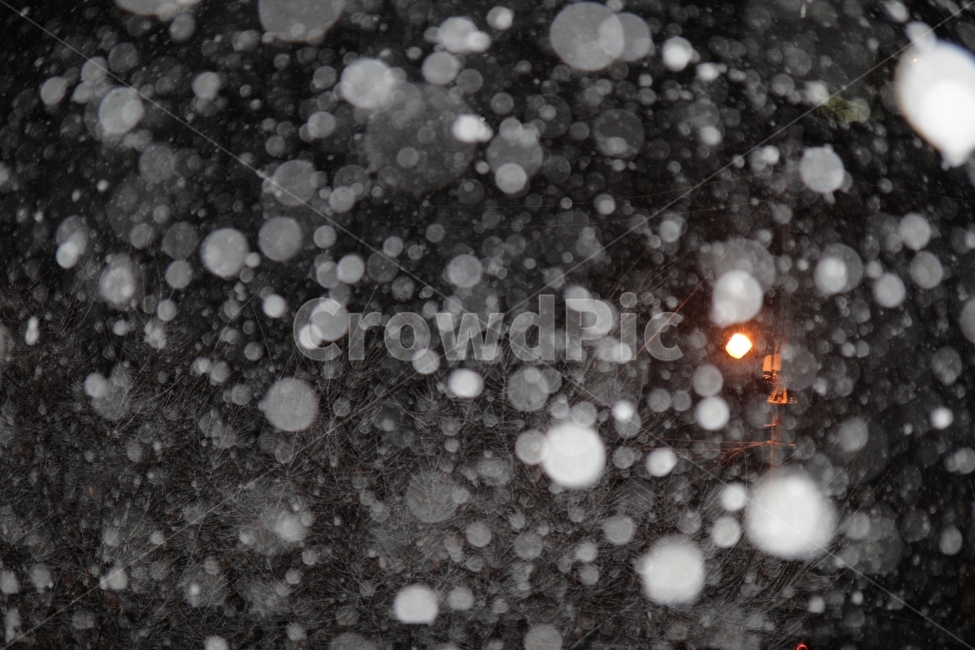 눈,겨울,SNOW,눈꽃,밤,풍경,자연,겨울,계절,winter,season,야경,밤,풍경,nightscape,night,landscape,nature