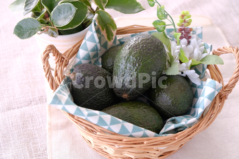 아보카도,과일,셀러드,샐러드,음식,식품,avocado,fruit,salad,food,음식,식재료,요리,food,cook,meal,dishes,food reserves,과일,열매,fruit