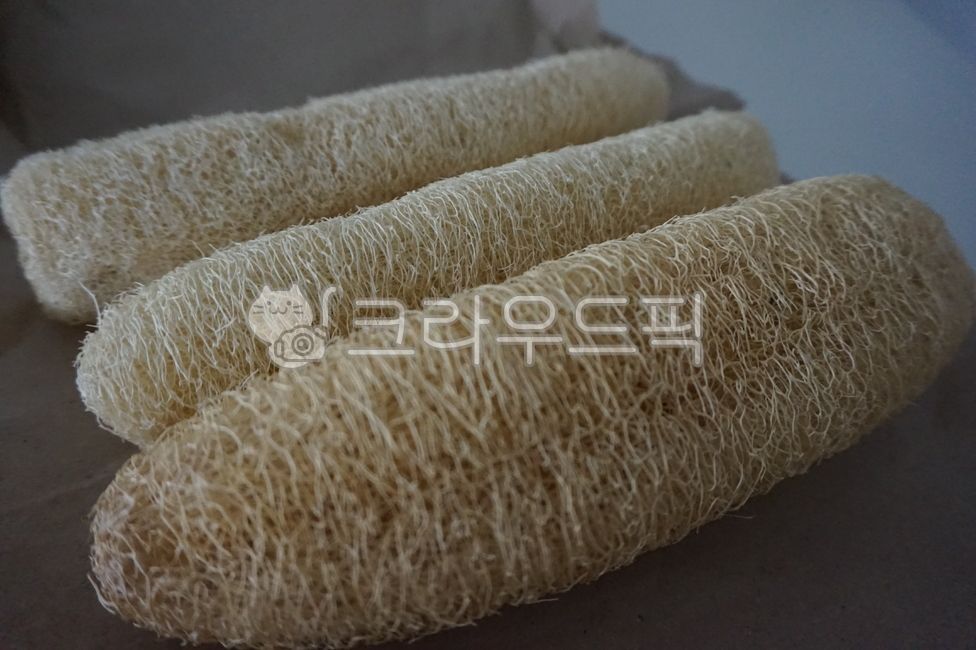 수세미,천연수세미,수세미말린거,식물,수세미열매