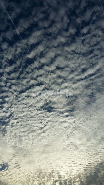 구름,하늘,노을,자연,감성