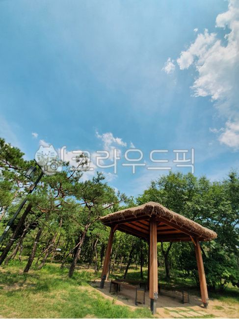 sky,heat,forest,Namsan,shelter,porch,hut,clear,clouds,Hanok village,trees,summer,patio,sunlight,courtyard,grass,land,season,entrance,landscape