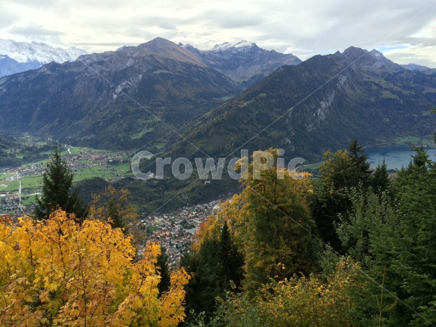풍경,자연,나무,단풍,산,nature,tress,coloredleaves,mountain,자연,풍경,nature,landscape,해외,외국,세계,foreign,oversea,world,세계자연풍경,해외자연풍경,외국자연풍경,world nature landscape,plant,식물,tree,fir,전나무,abies,아비,outdoors,옥외