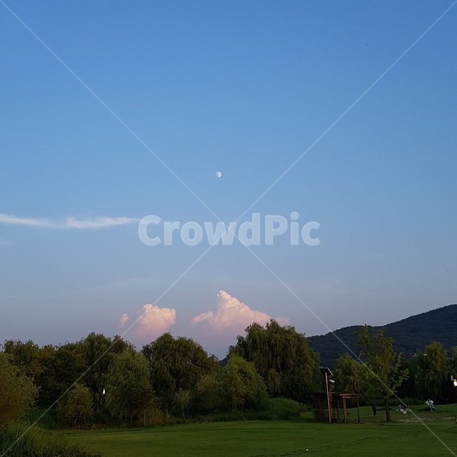 grass,옥외,nature,잔디,plant,자연,식물,outdoors,구름,하늘,sky