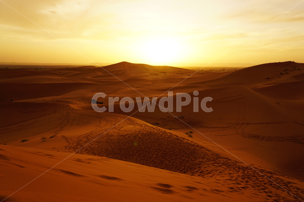 dune,모래언덕,nature,outdoors,사하라,사막,노을,사막노을,desert,sahara,자연,자연경관,모래,sunset,자연,풍경,nature,landscape