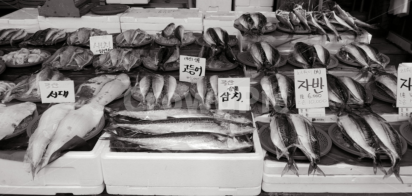 어패류,생선,음식,food,생선가게