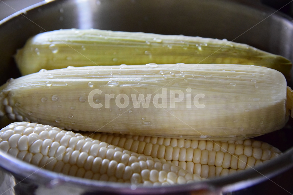 옥수수,옥수수껍질,옥수수잎,콘,옥수수알,옥수수속껍질,corn,음식,음식재료,식물,자연,plants,nature