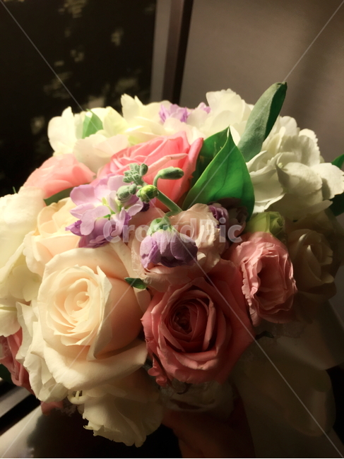 꽃,플라워,꽃다발,부케,장미,flower,bouquet,rose,이벤트,event,서프라이즈,surprise,컬러풀,colorful,생일,birthday,축하,파티,party,선물,present,따뜻한,부드러운,감성적인