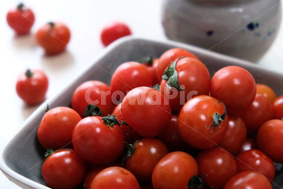 토마토,방울토마토,과일,야채,식품,신선,음식,tomato,droptomato,fruit,vegetables,fresh,food,음식,식재료,요리,food,cook,meal,dishes,food reserves,과일,열매,fruit,채소,야채,vegetables