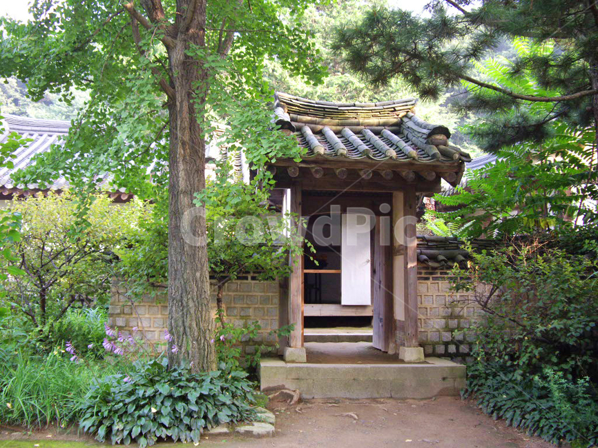 민속촌,민속마을,한국전통,전통,전통마을,한국문화,보존,한국의미,옛마을,village,nature,plant,자연,풍경,식물,korean,주거지,나무,traditional,culture,outdoors,전통정원,옥외,마당,기와,담장