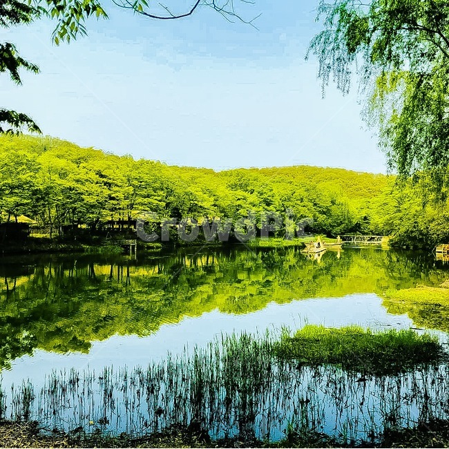 water,nature,자연,land,땅,옥외,outdoors,풍경,강,힐링,자연,풍경,nature,landscape,물