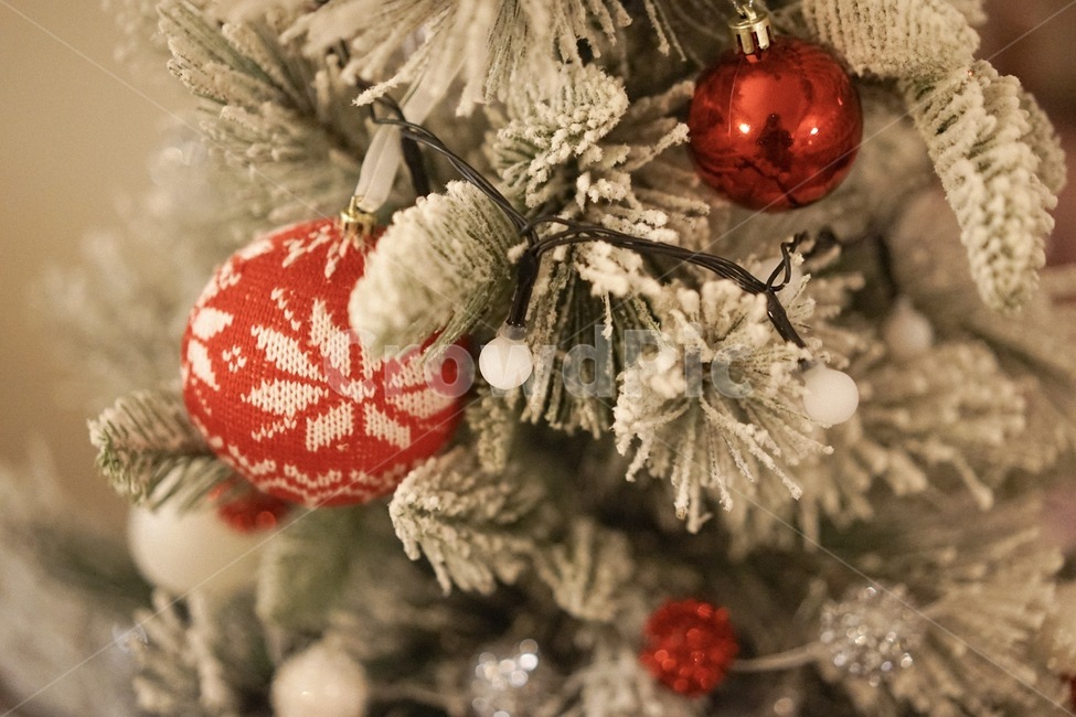 크리스마스,겨울,트리,tree,성탄절,xmas,메리크리스마스,성탄절,merry christmas,사물,물건,오브젝트,thing,object,matter