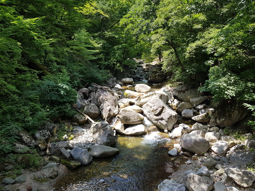 물,자연,흐름,바위,숲,자연,풍경,nature,landscape,water,outdoors,옥외,stream,creek,작은 만,rubble,파편