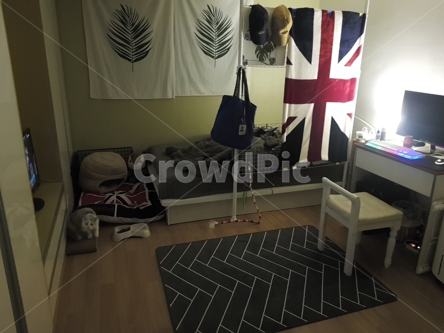 자취방,고양이,원룸,인테리어,작은방,인테리어,실내디자인,interior design