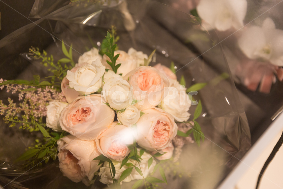 결혼식부케,부케,꽃,결혼부케,부케꽃,plant,식물,결혼,혼례,웨딩,wedding,marriage,marry
