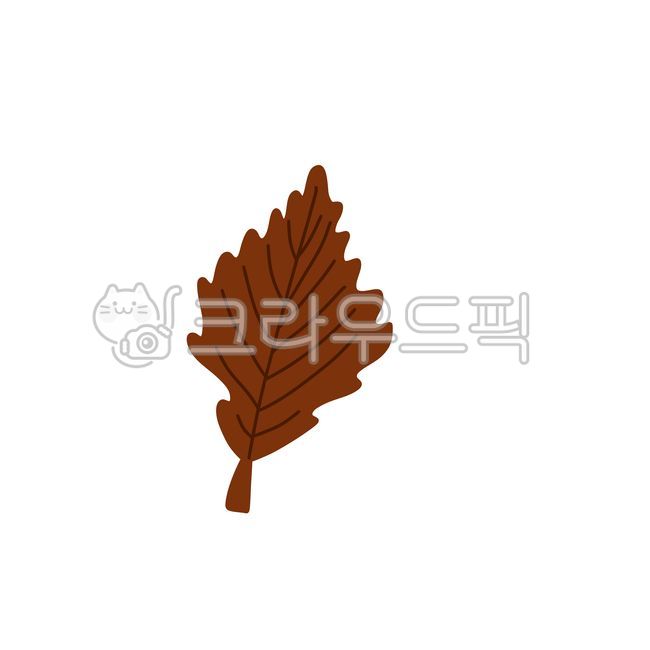 Maple leaves,maple tree,maple festival,leaves,fallen leaves,maple play,maple illustration,Chuseok,fall,maple decoration,pretty maple leaves,maple elements,fall leaf decoration,colorful,fall background