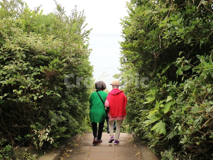 엄마와딸,뒷모습두명,할머니,they,motheranddaughter