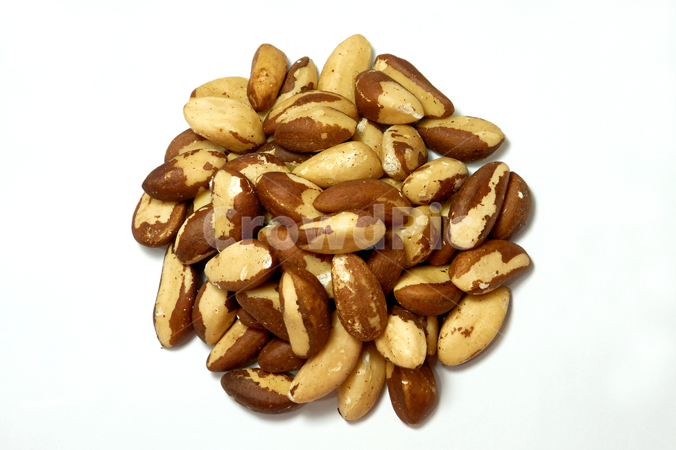 브라질넛,브라질너트,견과류,너트,고소한,견과,열매,간식,음식,식품,영양,슈퍼푸드,웰빙,맛있는,쌓여있는,씨,씨앗,오브젝트,음식,식재료,요리,food,cook,meal,dishes,food reserves,콩류,견과류,beans,pulse,nuts,dry fruits