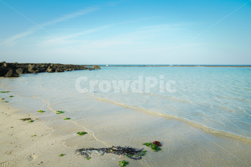 바다,제주도,월정리,파도,해변,비치,푸른바다,풍경,배경,감성,해변,바다,beach,sea