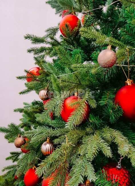 트리,크리스마스,겨울,데코,성탄절,크리스마스트리,tree,winter,메리크리스마스,성탄절,merry christmas