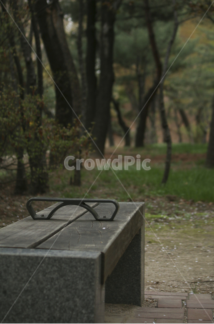 furniture,가구,parkbench,공원벤치,bench,벤치,꽃잎,petal