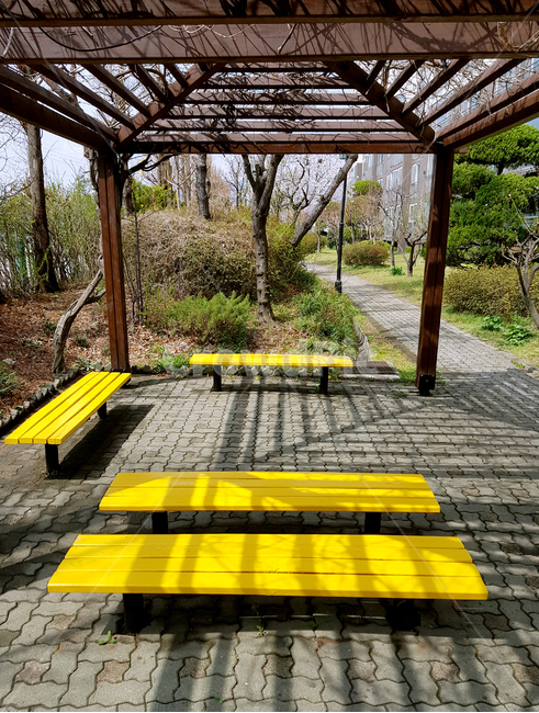 봄,풍경,산책로,spring,view,bench,chair,yellow,tree,road,길,정자,쉼터,안마당,patio