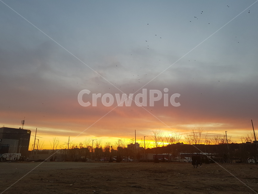 nature,자연,outdoors,옥외,sky,하늘,redsky,붉은하늘,sunset,일몰,노을,공터