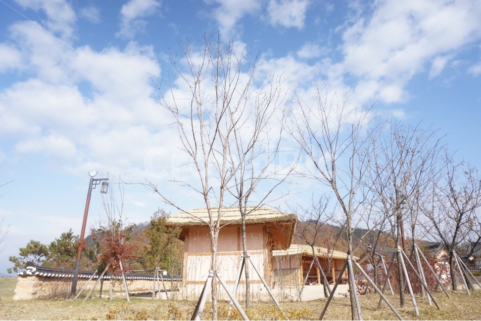 한옥,마을,자연,구름,가을