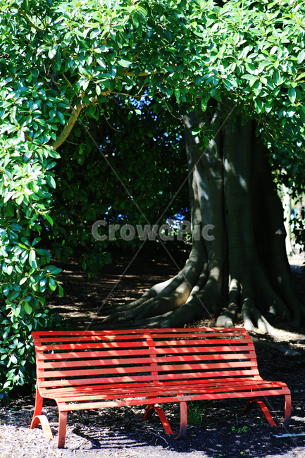 rest,Bench,green,bench,chair,red chair,tree,redbench,red bench,Red,red,park