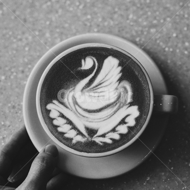 커피,라떼아트,커피아트,latteart,coffeeart,coffee,커피,카페,coffee,cafe,흑백,모노톤,monochrome,black and white