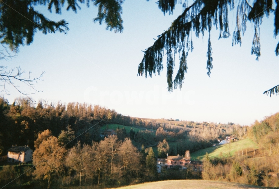 나무,햇살,숲,따뜻한,자연,그림자,산,필름카메라,tree,sunset,forest,warm,shadow,mountain,filmcamera,europe,italy,자연,풍경,nature,landscape,plant,식물,fir,전나무,outdoors,옥외