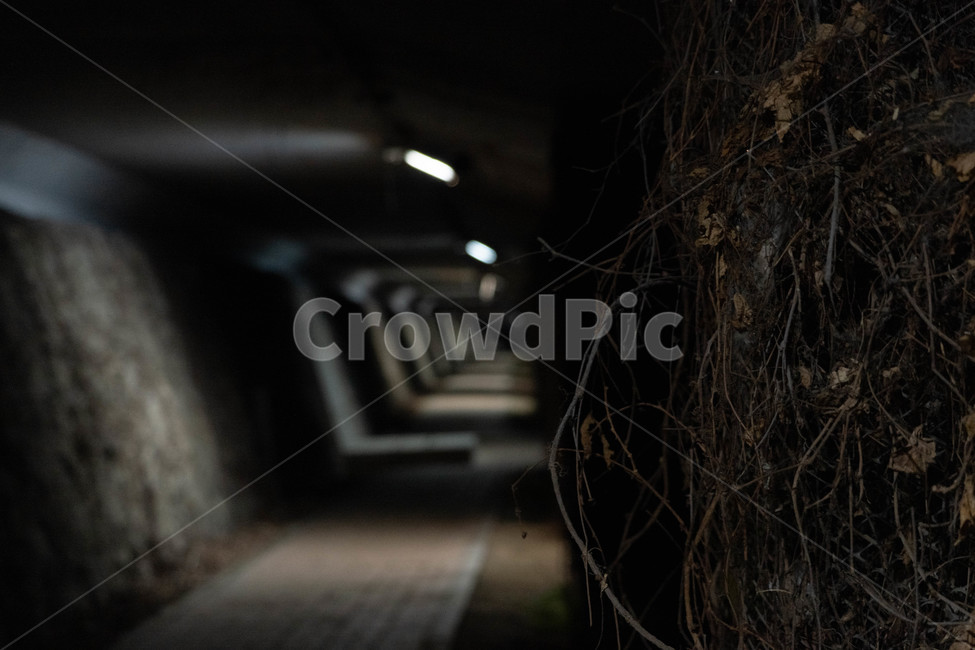 밤,어둠,dark,night,산책로,산책,산책길,path,길