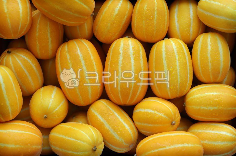모음, 그룹, 참외, 성주참외, 유기농, 사진,이미지,일러스트,캘리그라피 - ddong작가