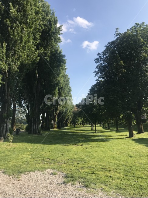 만토바,mantova,이탈리아,italy,italia,구름,공원,하늘,배경화면,nature,자연,소도시,나무,잔디,tree