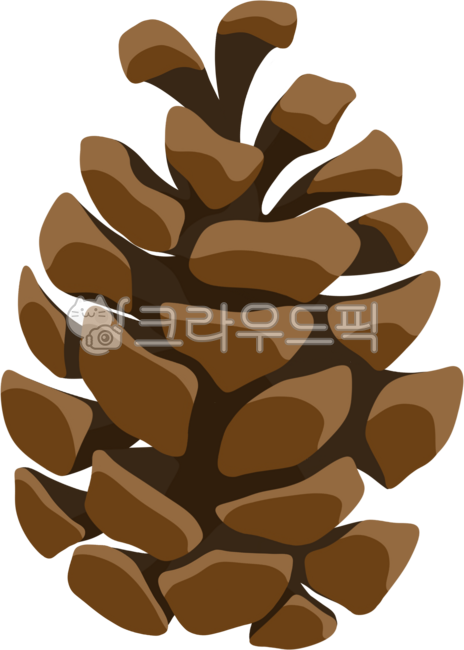 솔방울, 솔방울삽화, 솔방울클립아트, 솔방울일러스트, 솔방울일러, 사진,이미지,일러스트,캘리그라피 - snagh작가