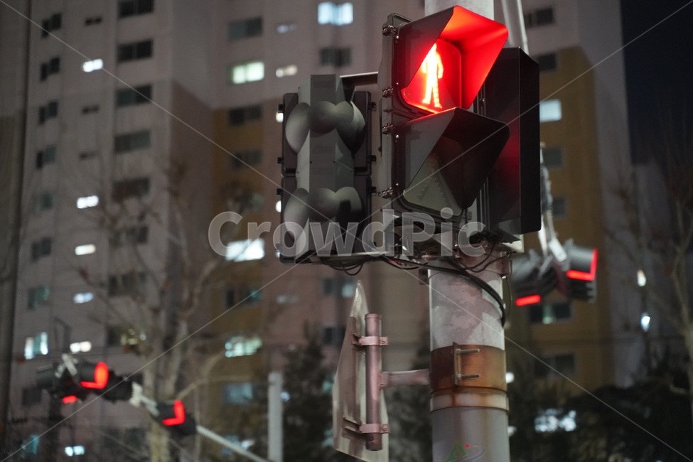 신호등,빨간불,도로조형물,횡단보도,밤신호등,교통,교통수단,traffic,transportation