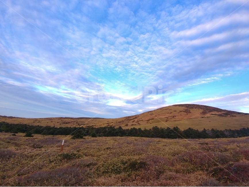 일출,노을,풍경,감성,제주,제주풍경,하늘,구름,자연,자연,풍경,nature,landscape,outdoors,옥외,field,들,grassland,목초지