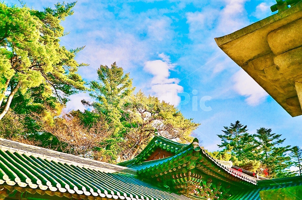 temple,architecture,건축물,building,탑,하늘,기와,전통,나무,구름,traditional,필름카메라,감성,필름,filmcamera,film