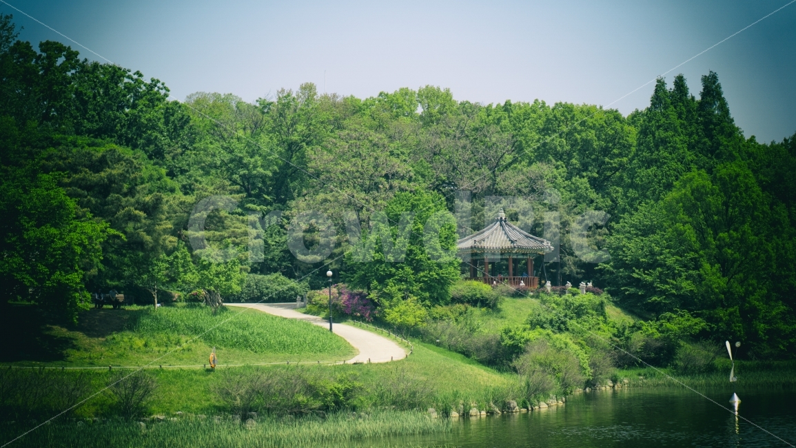 자연,풍경,배경,나무,풀,호수,올림픽공원,자연,풍경,nature,landscape,여름,계절,summer,season,한국전통,한국문화,korean traditional,korean culture,gazebo,전망대