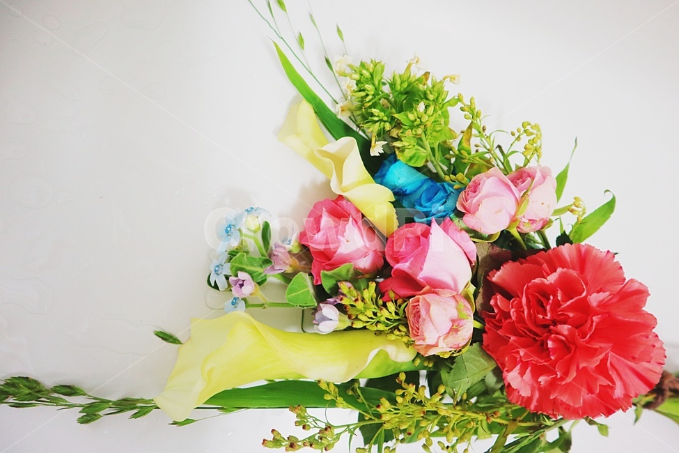 꽃,꽃다발,고백,장미,파랑장미,핑크장미,백합,카네이션,감사,선물,꽃,flower,기념일,축하,anniversary,congratulation,celebrate,celebration