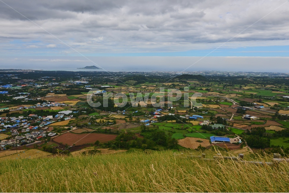 scenery,풍경,outdoors,옥외,landscape,경치,plant,식물,tree,나무,field,들,grassland,목초지,nature,자연,treetrunk,나무줄기,제주도,목장,꽃,오름,제주오름,길,공장,날씨,흐림