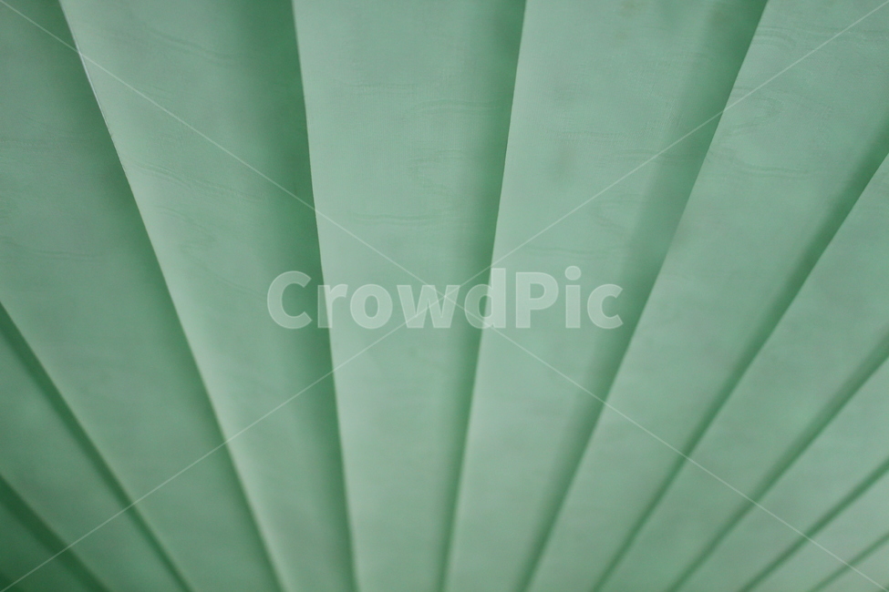 배경화면,초록,연두색,background,green
