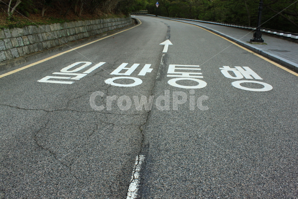 일방통행,도로,공원도로,산책로,일방통행로